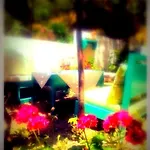Alexandra's House 3*