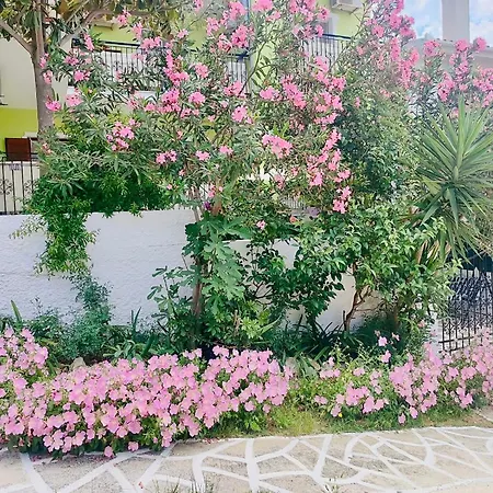 Gasthuis Alexandra's House Skiathos-stad