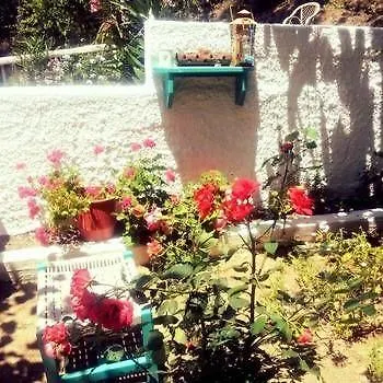 Alexandra's House
