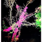 Alexandra's House 3* Skiathos by