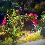 Alexandra's House Guest house 3*