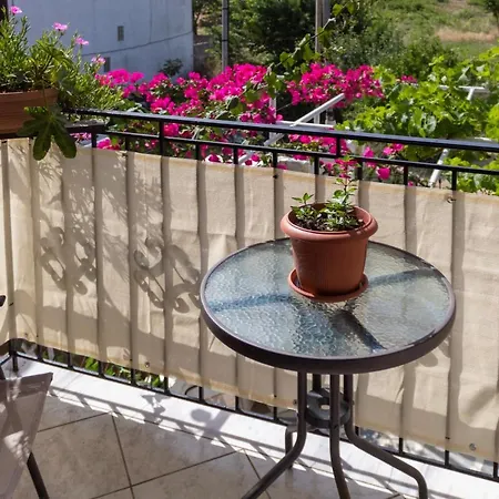 Alexandra's House 3*