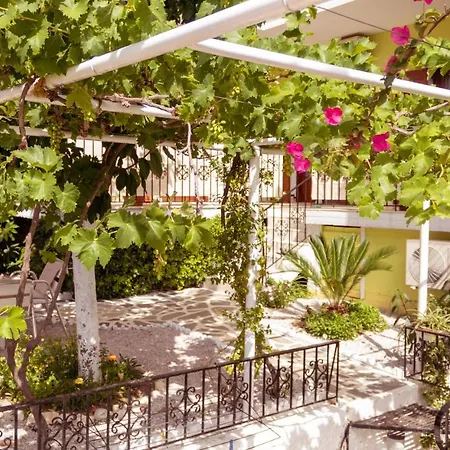 Guest house Alexandra's House 2*