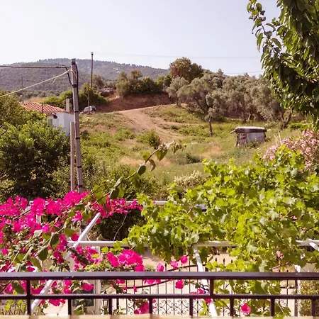 Guest house Alexandra's House Skiathos Town