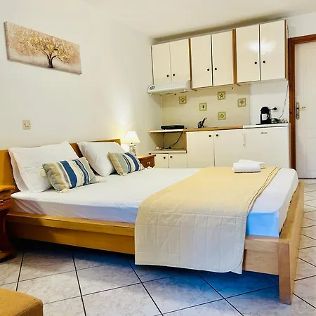Pensiune Alexandra's House 3*