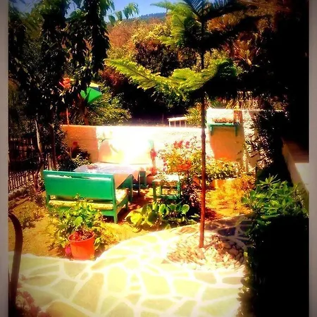 Alexandra's House Gasthuis 3*