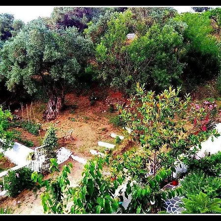 Alexandra's House Gasthuis 3*