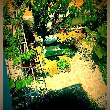 Alexandra's House بيت ضيافة