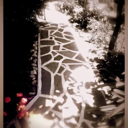 Alexandra's House 2*