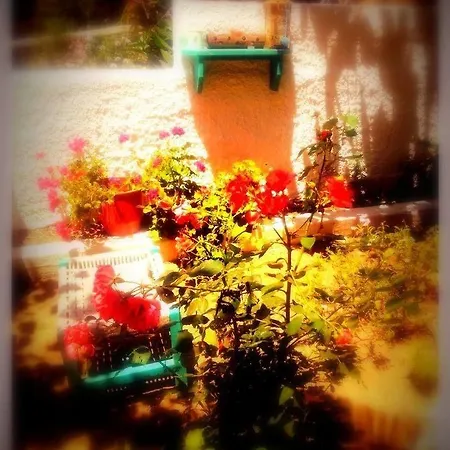 Alexandra's House Gasthuis Skiathos-stad