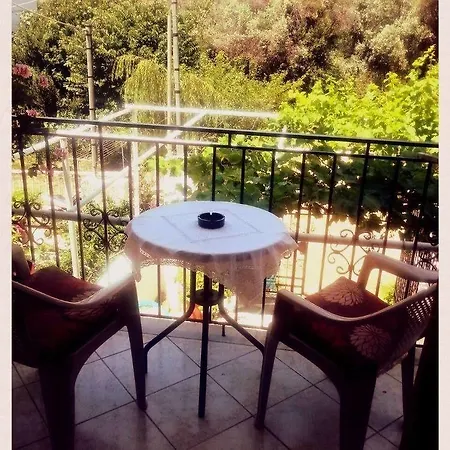 Alexandra's House Gasthuis 3*