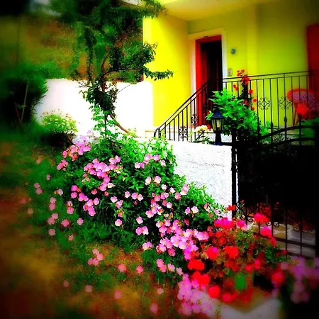 Alexandra's House 3*