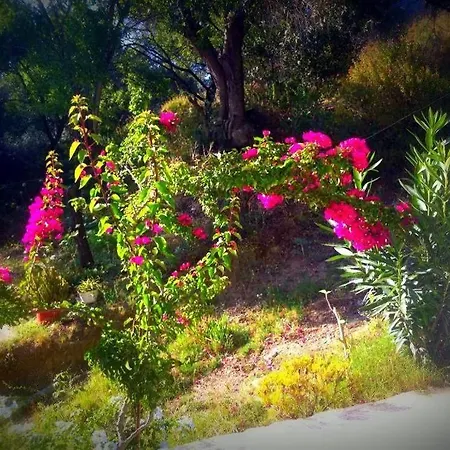 Alexandra's House Gasthuis 3*