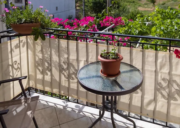 Alexandra's House 3*