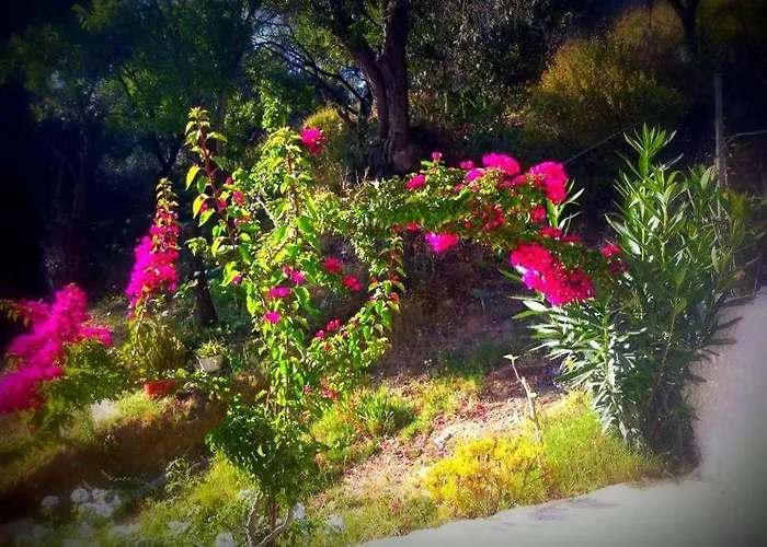 Alexandra's House Pensiune 3*