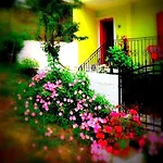 Alexandra's House 3*