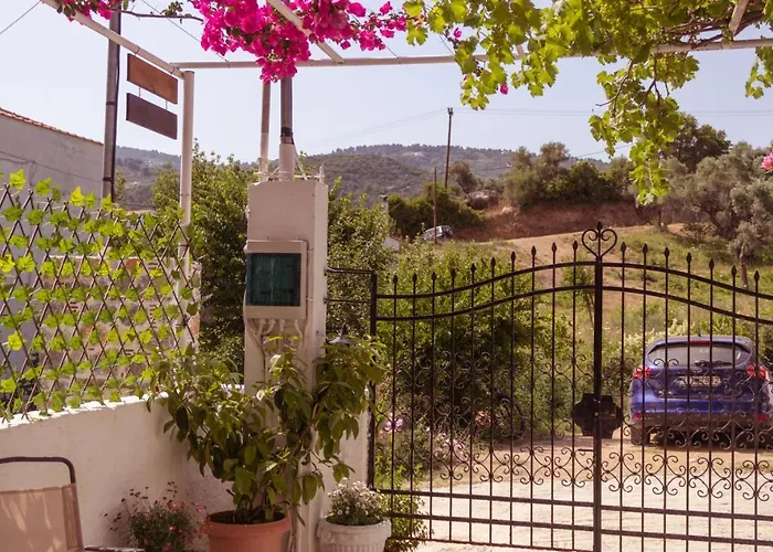 בית הארחה Alexandra's House