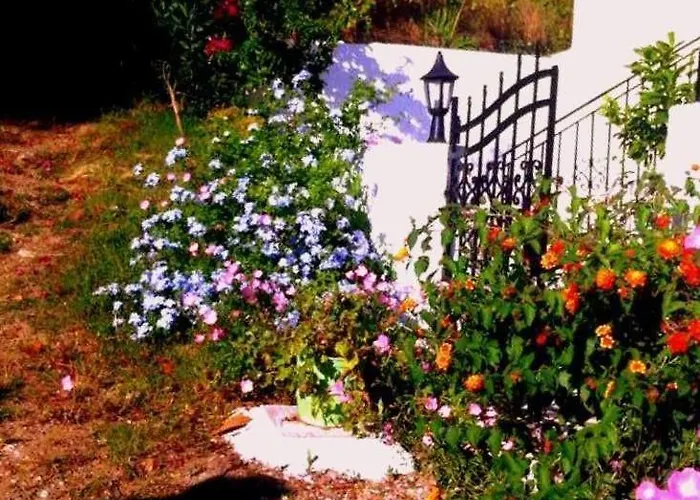 Alexandra's House בית הארחה