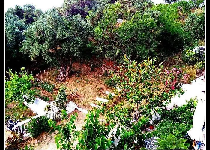 Alexandra's House בית הארחה 3*