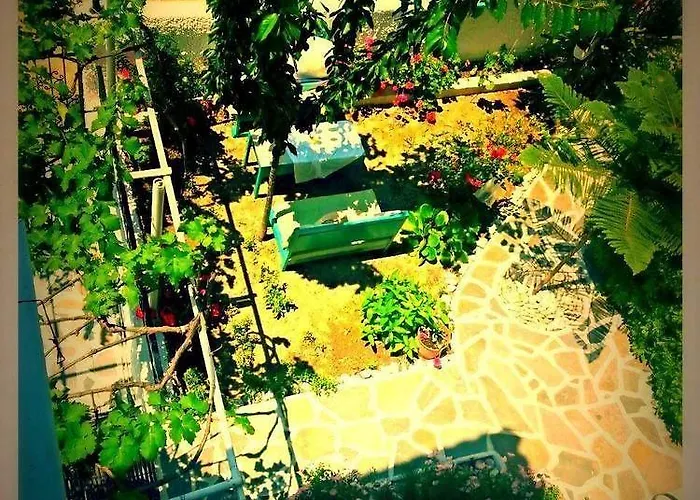 Alexandra's House בית הארחה