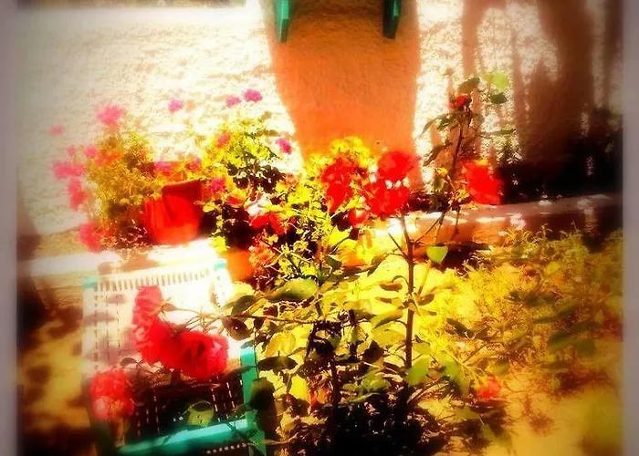 Alexandra's House בית הארחה העיירה סקיאתוס