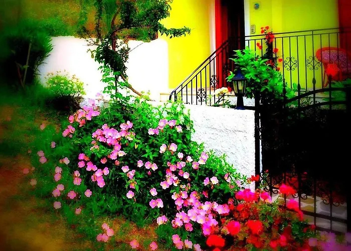 Alexandra's House 3*