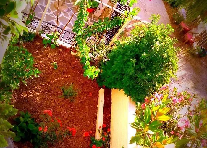 Alexandra's House בית הארחה העיירה סקיאתוס