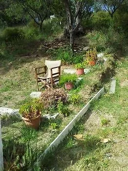 Alexandra's House 3*